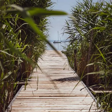 公寓 Fuzliget Surf Front *