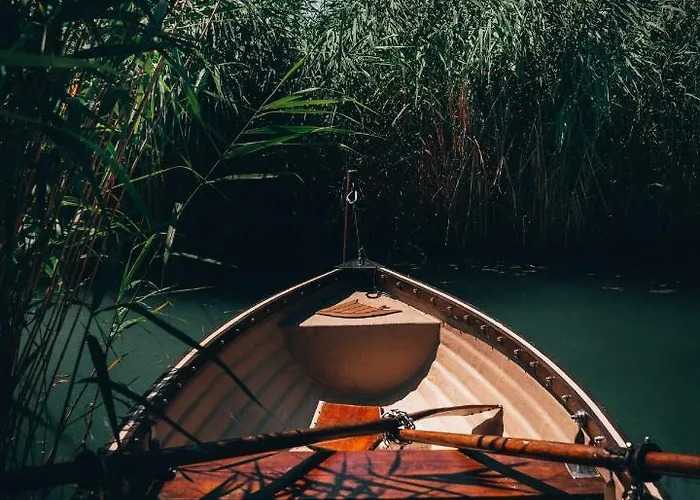 Fuzliget Surf Front *